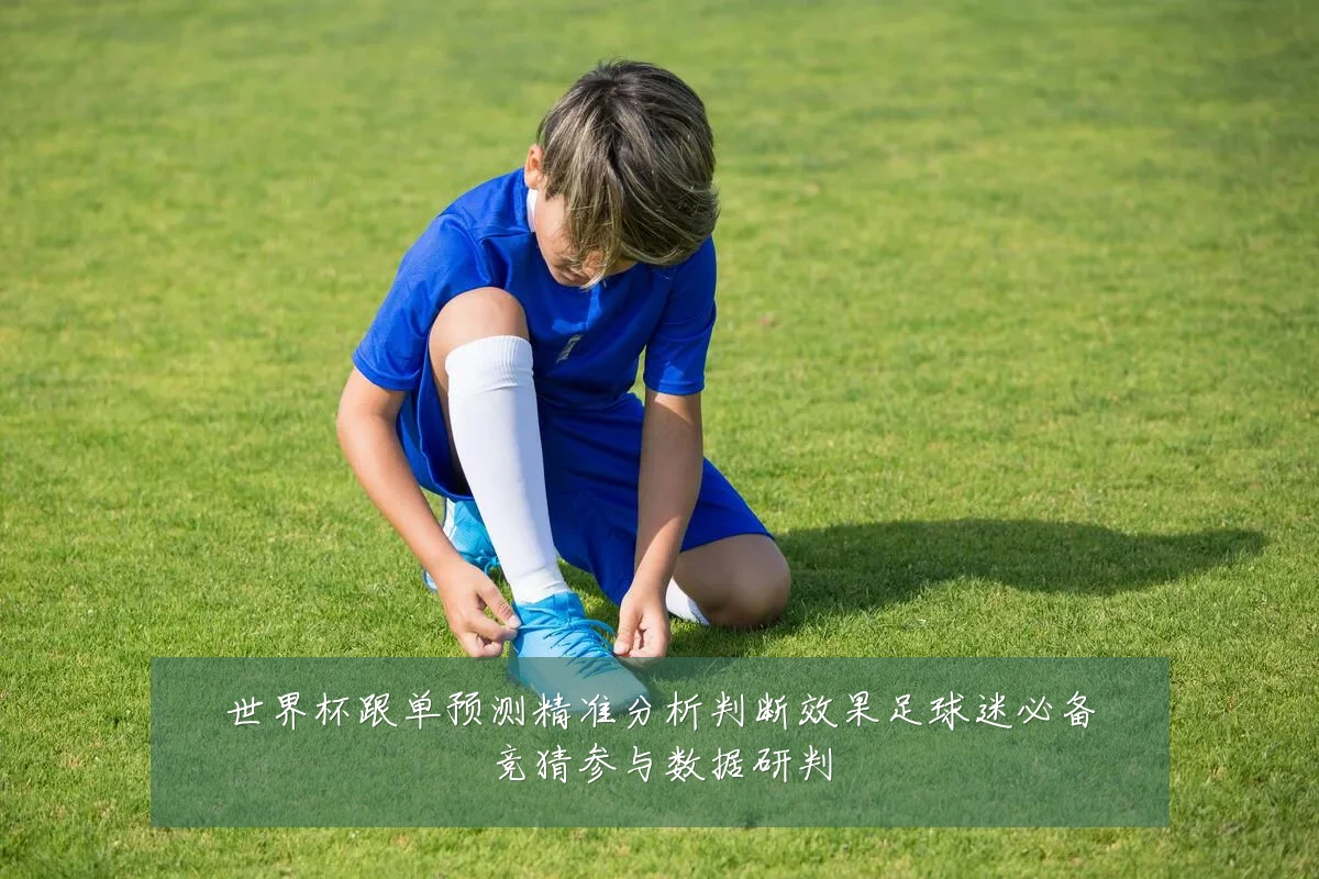 世界杯跟单预测精准分析判断效果足球迷必备竞猜参与数据研判