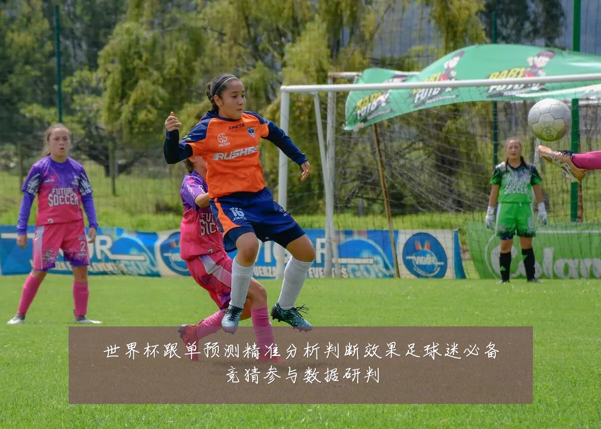 世界杯跟单预测精准分析判断效果足球迷必备竞猜参与数据研判