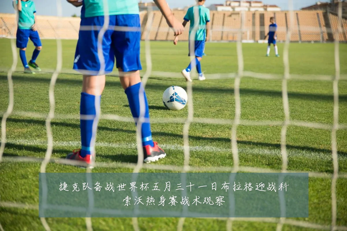 捷克队备战世界杯五月三十一日布拉格迎战科索沃热身赛战术观察