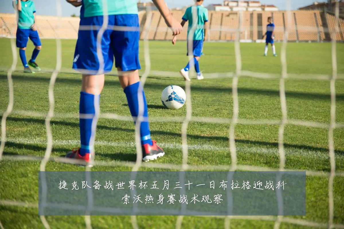 捷克队备战世界杯五月三十一日布拉格迎战科索沃热身赛战术观察